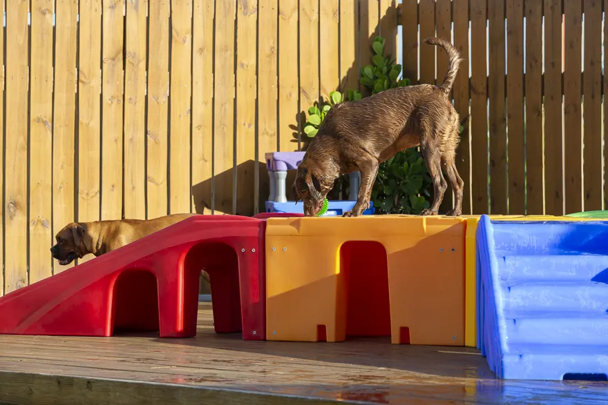 Day Care con piscina