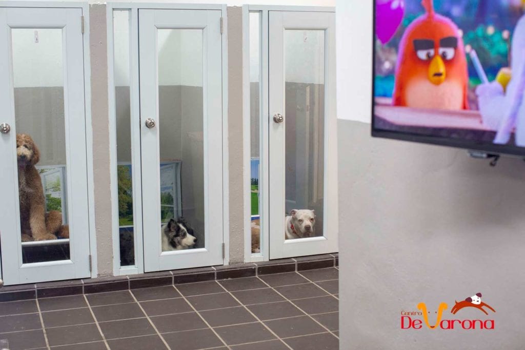 Hotel-Suites-Centro-De-Varona-(12-of-57)