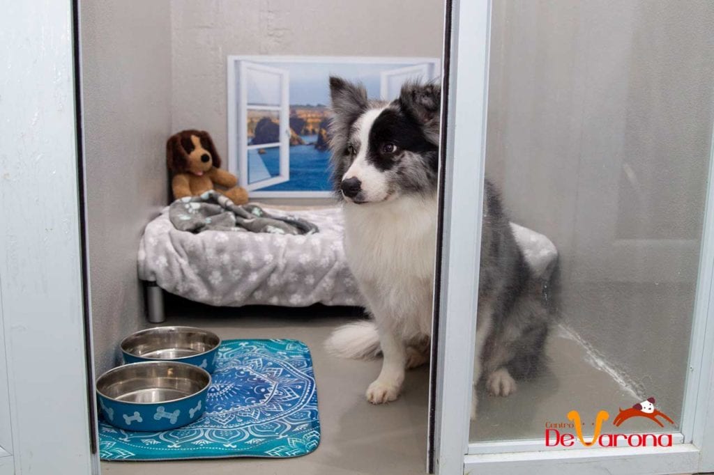 Hotel-Suites-Centro-De-Varona-(50-of-57)